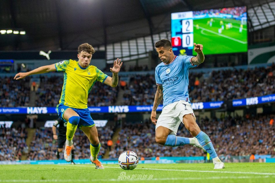 本次巡回赛 本次巡回赛